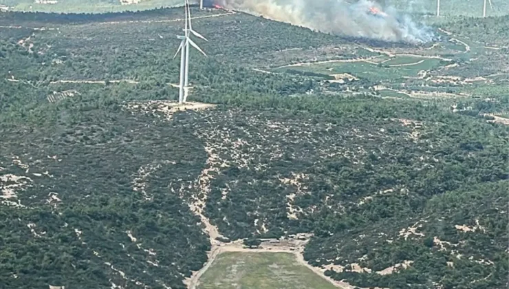 İzmir Urla’da çıkan yangın kontrol altına alındı