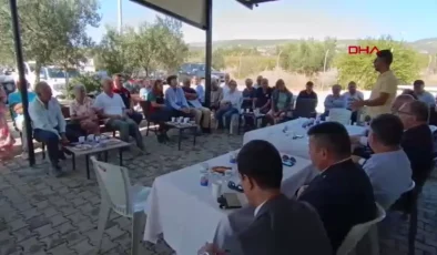 Foça’da Zeytin Hasat ve Sıkım Sezonu Başladı